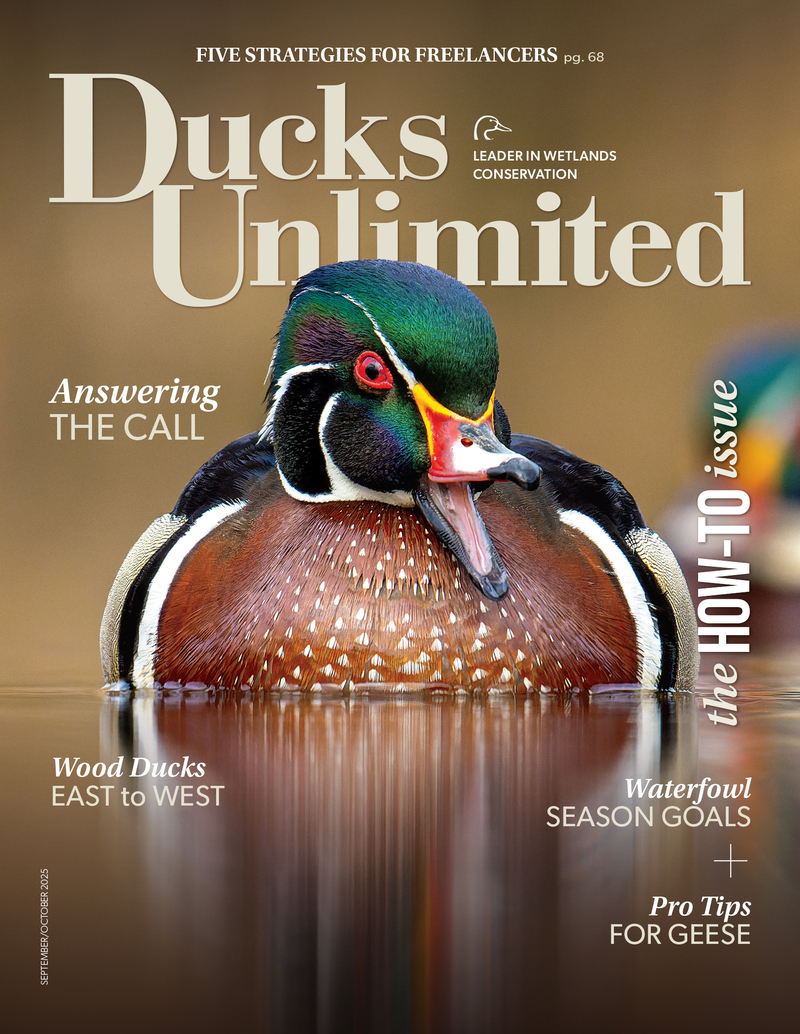 C1_Cover_SO25web.jpg