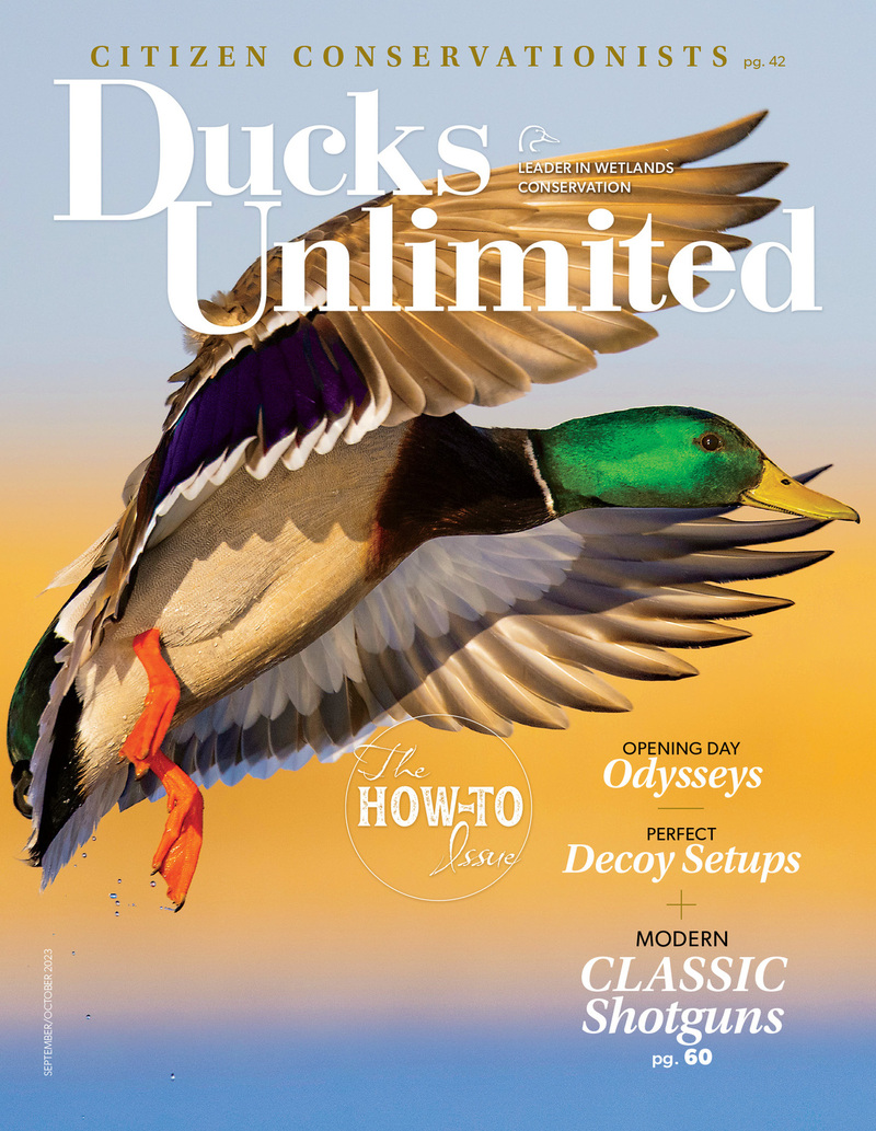 Cover web SO23.jpg
