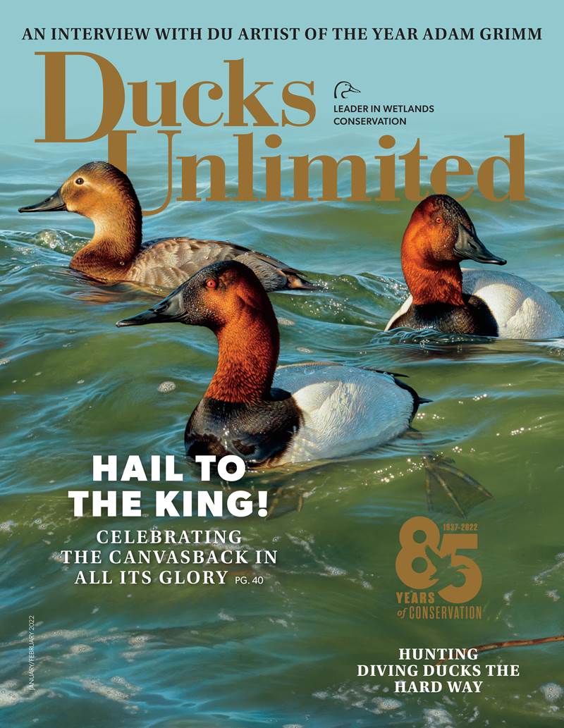 Ducks Unlimited Celebrates 85 Years of Conservation - Gun Dog