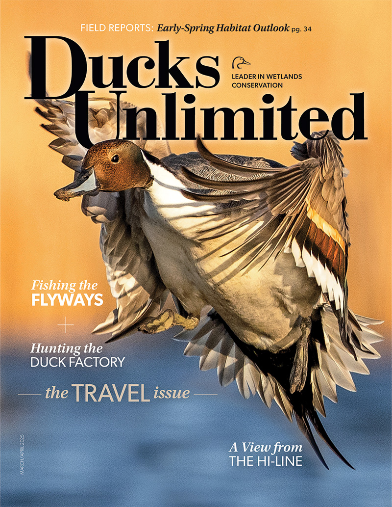 CoverMA25.jpg