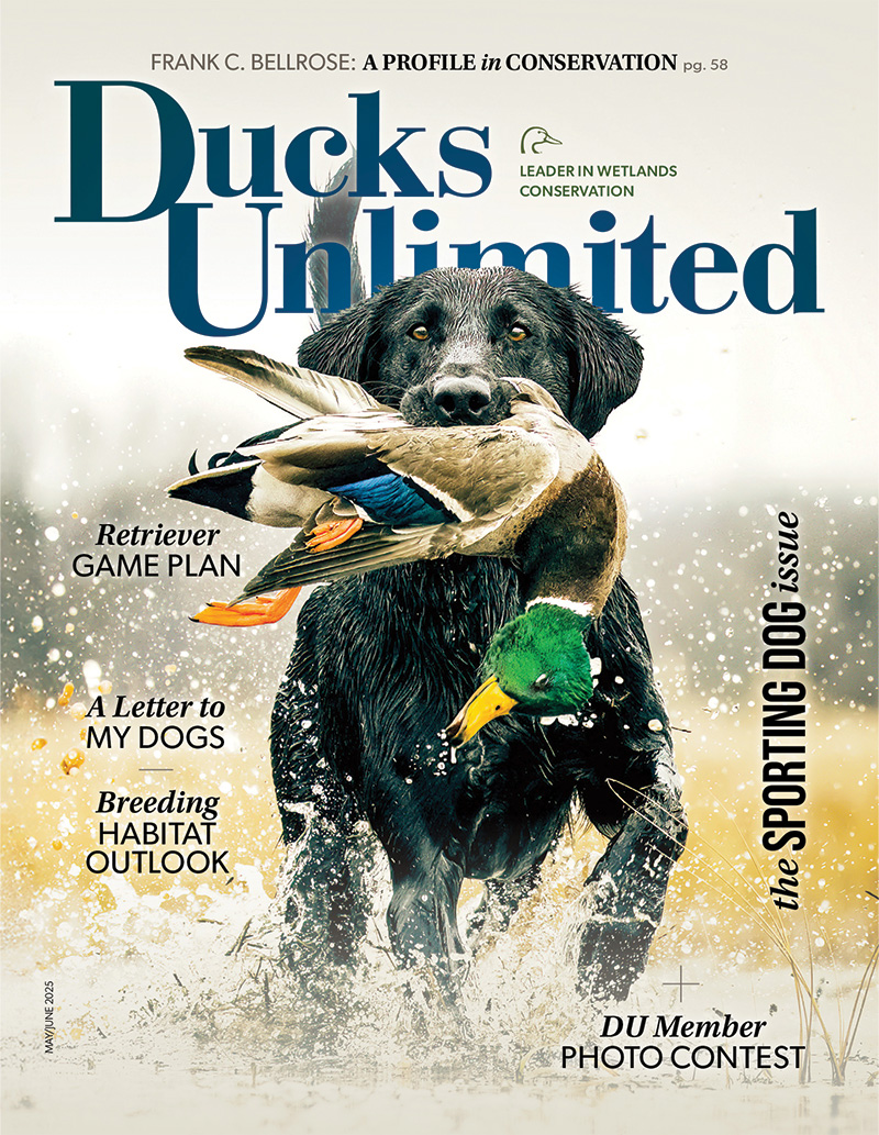 Cover_MJ25.jpg