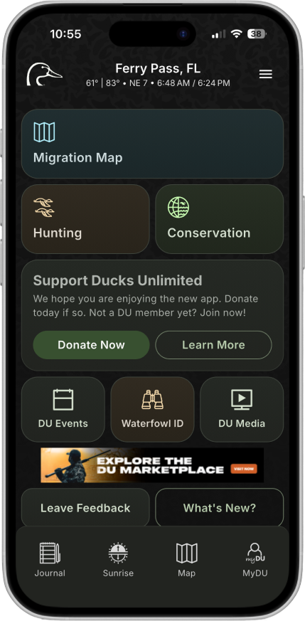home_screen.png