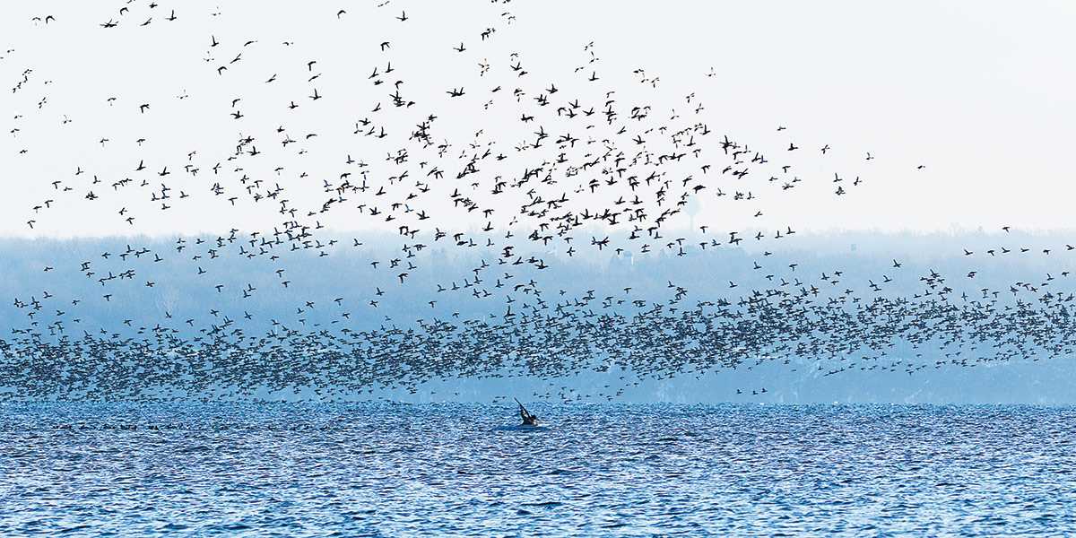2020 DU Magazine Photo Contest Overall Winner