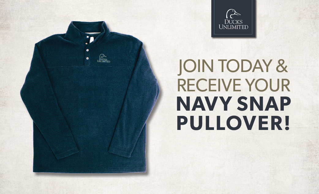 Image for Donate Now