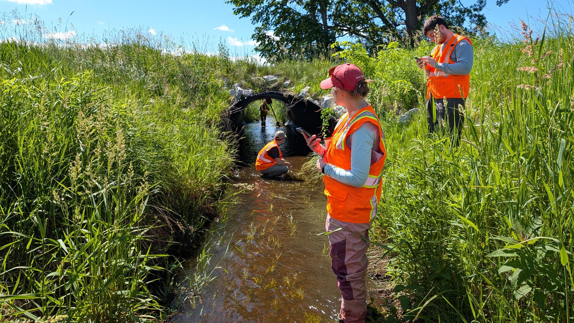 Image for Ducks Unlimited Seeks Volunteers for LaPorte County Aquatic Habitat Survey
