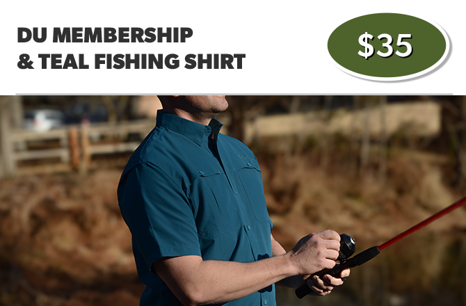 The Member's Essentials