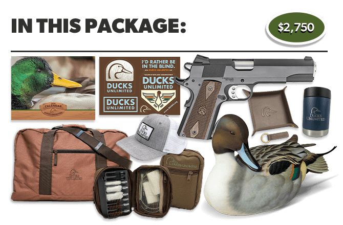 The Exclusive Handgun Package