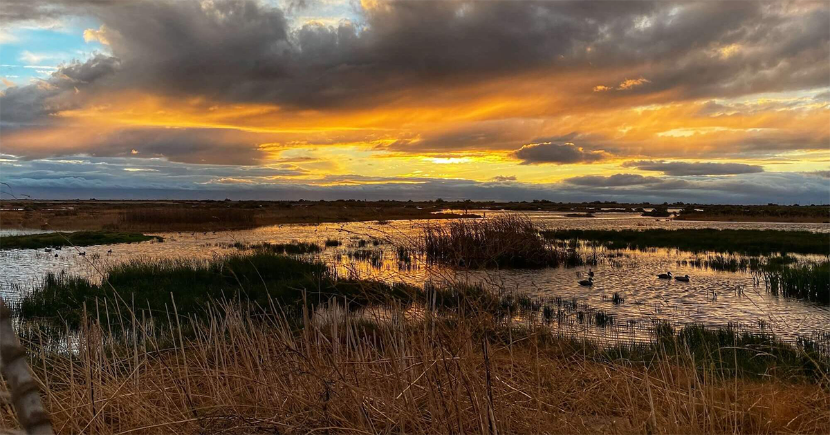 No gift - I just want to donate.